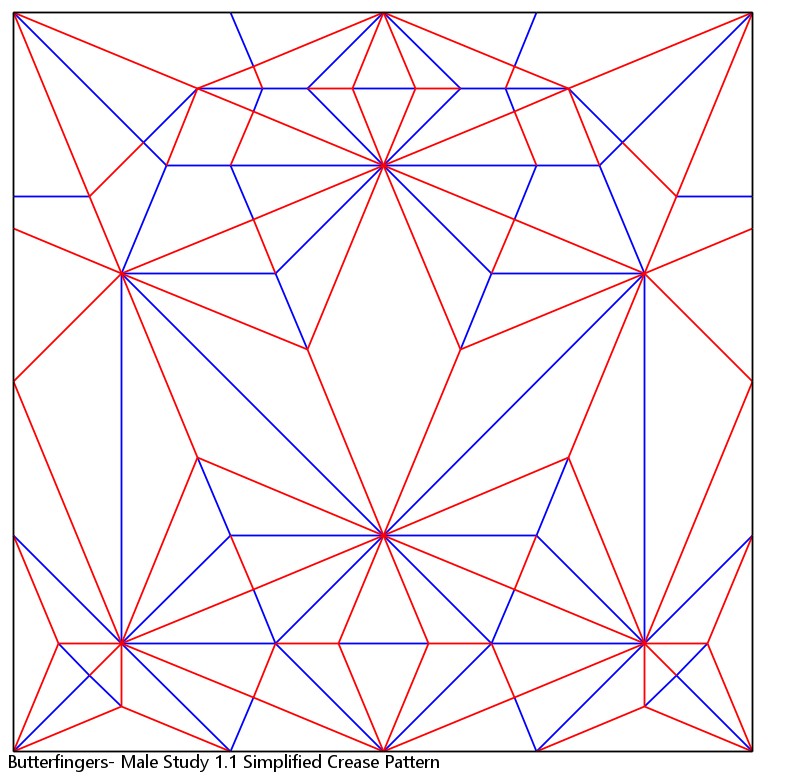 Male Study Ver 1.1 Simplified Crease Pattern