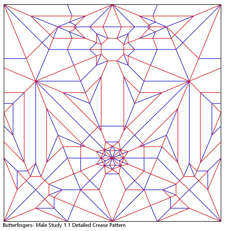 Male Study Ver 1.1 Detailed Crease Pattern