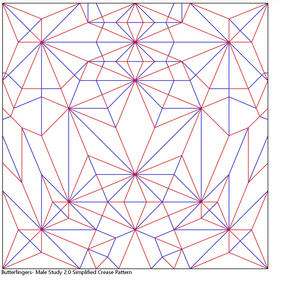 Male Study Ver 2.0 Simplified Crease Pattern