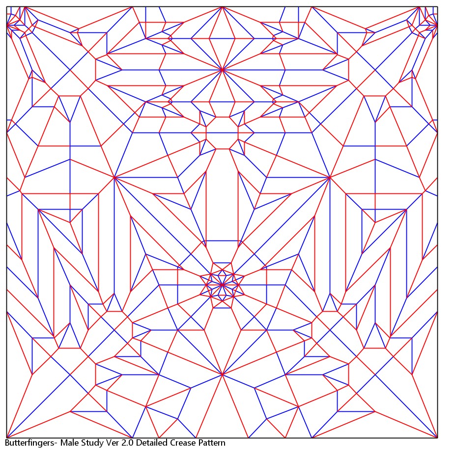 Male Study Ver 2.0 Detailed Crease Pattern